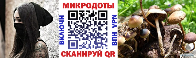 Галлюциногенные грибы Psilocybine cubensis  Ирбит 